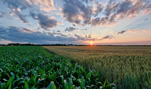 Indiana Securities Law